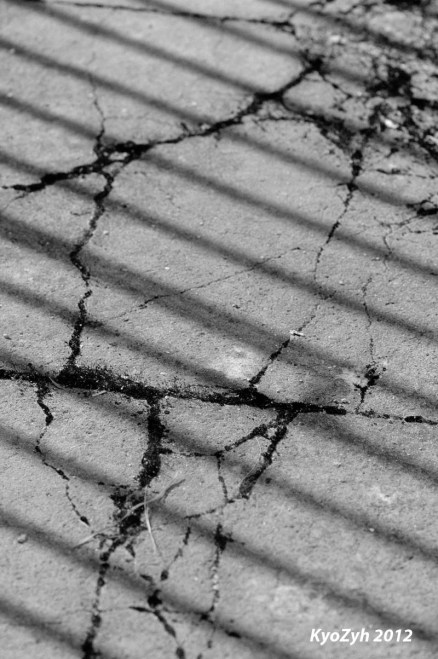 Bars Shadows above Old Concrete Floor HD